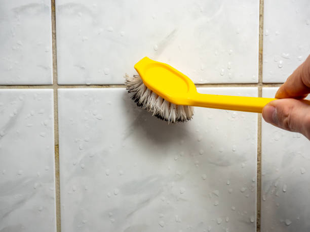 Best Commercial Mold Removal  in Spring City, PA