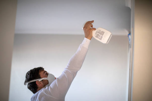 Best Water Damage Restoration  in Spring City, PA
